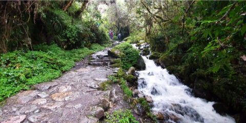 Short inca Trail to Machu Picchu