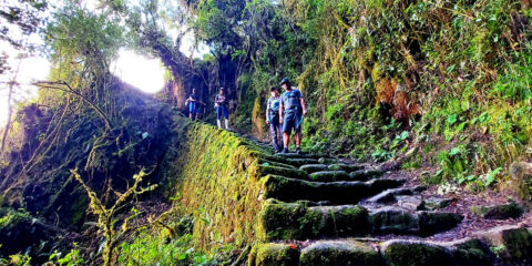Sacred Valley & Inca Trail to Machu Picchu 4D/3N